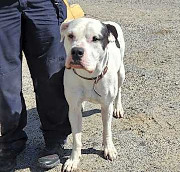 Photo of DaisyMae
