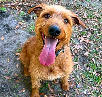 Photo of Milo