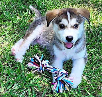 Photo of Sammie