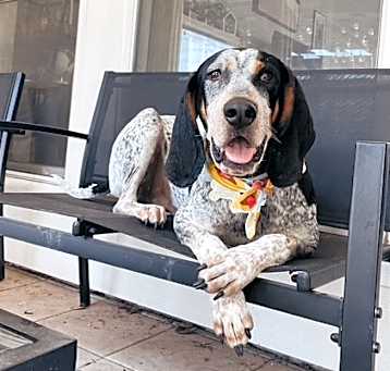 Photo of Cooper