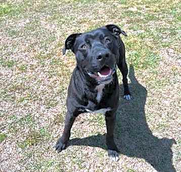 Photo of Jet