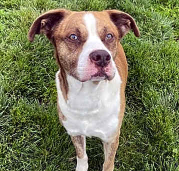 Photo of SUNDANCE
