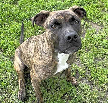 Photo of COOPER