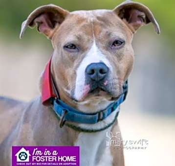 Photo of Lexie