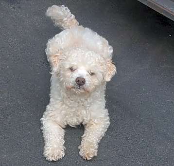 Photo of Key-Key