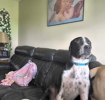 Photo of Max