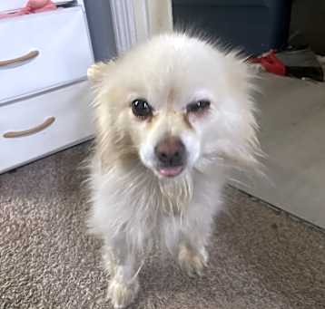 Photo of maikey