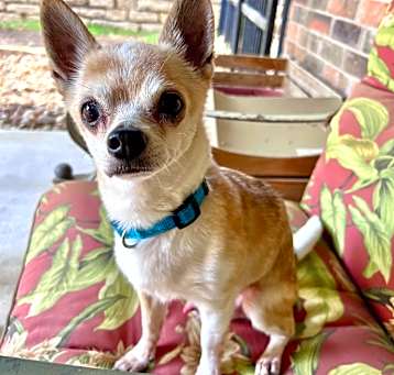 Photo of Edgar