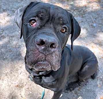 Photo of SAMSON