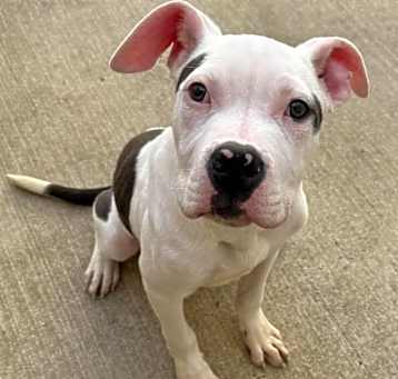 Photo of Bingo