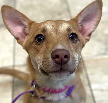 Photo of Princess