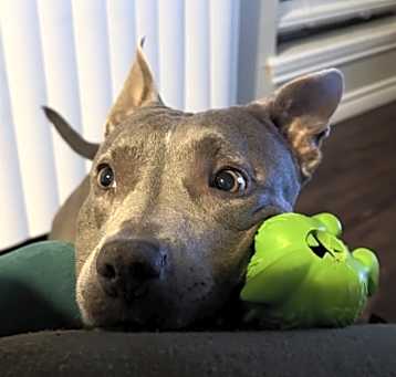 Photo of Blue