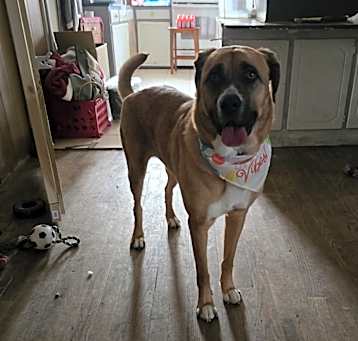 Photo of Jasmine (Jazzy)