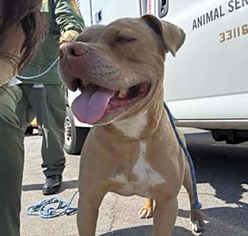 Photo of SUNNY