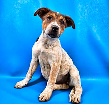Photo of Vallie