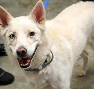 Photo of Snowflake