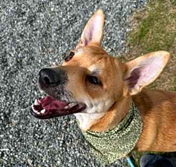 Photo of Calypso