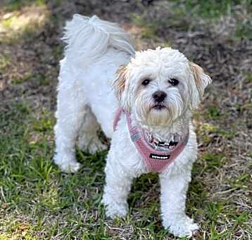 Photo of Emmah