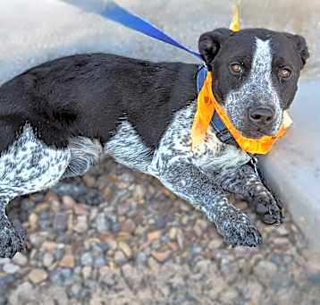 Photo of Cain
