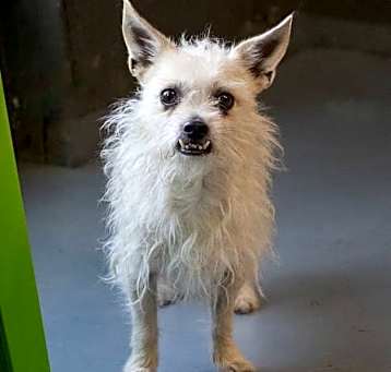 Photo of Chase