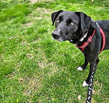 Photo of Betty 