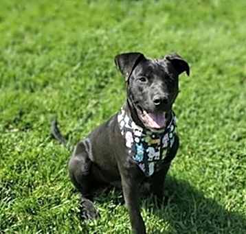Photo of OTTO