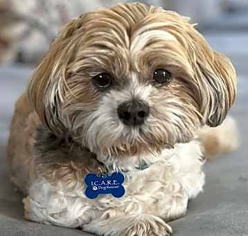 Photo of Coco
