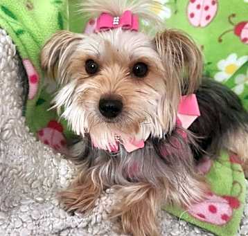 Photo of Cami