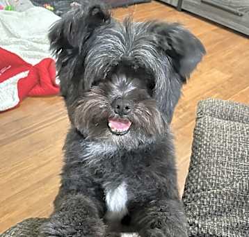 Photo of Pepper