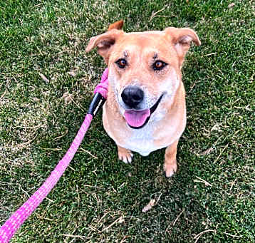 Photo of Nova