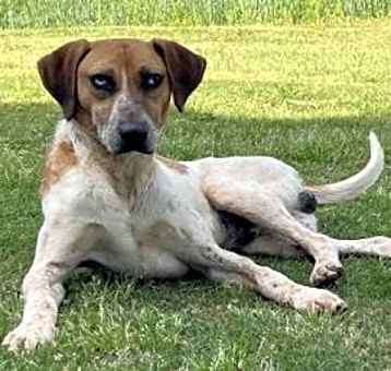 Photo of Murdock