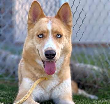 Photo of Arlo 206059