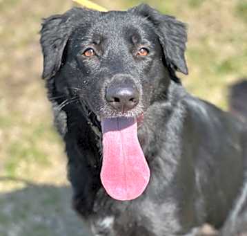 Photo of Willow (real name) 006008