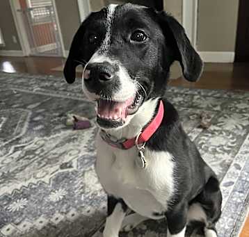 Photo of Nera