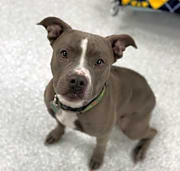 Photo of Bella Donna aka Queen Paris