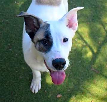 Photo of Gunther