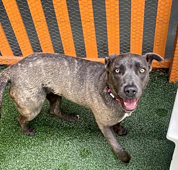 Photo of Laurie A5685726