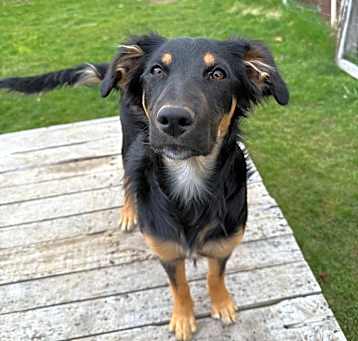 Photo of Keeva