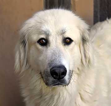 Photo of Stella Nova