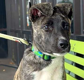 Photo of Lucy