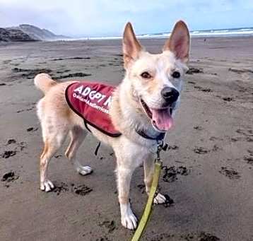 Photo of Carmine