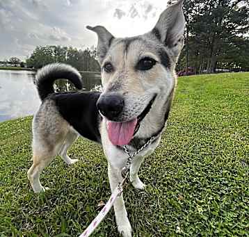 Photo of Ino