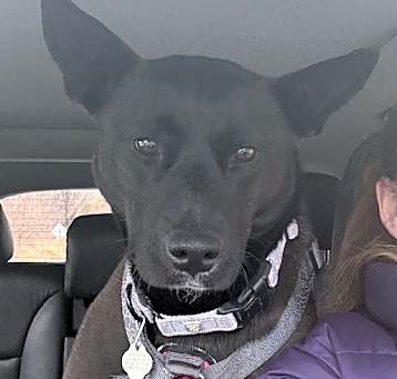 Photo of Dora