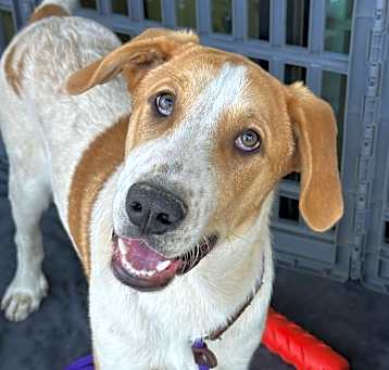 Photo of Baylor