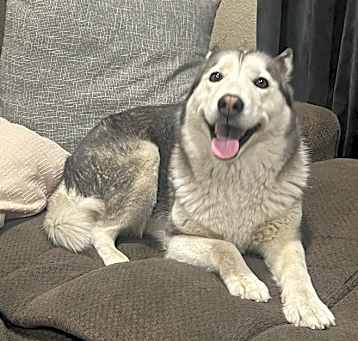 Photo of Bella