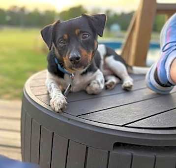 Photo of Fred