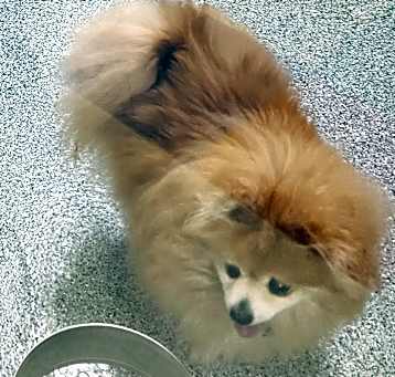 Photo of Nyles