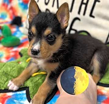 Photo of Baby Billy