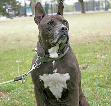 Photo of Clifton