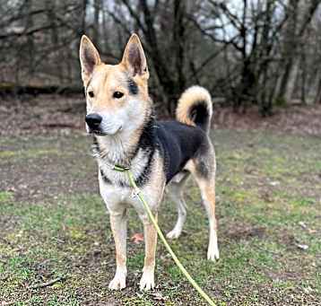 Photo of Buster